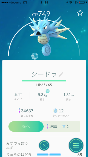 ポケモンgo 川沿いを歩いているとシードラと遭遇 ポケモンgo廃人